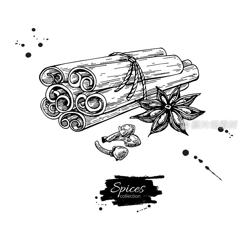 Cinnamon stick tied bunch, anise star and cloves. Vector drawing. Hand drawn sketch